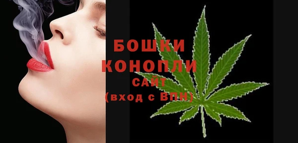 PSILOCYBIN Корсаков
