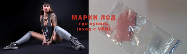 PSILOCYBIN Корсаков