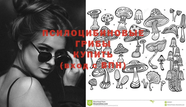 PSILOCYBIN Корсаков