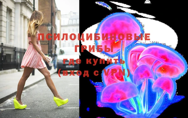 PSILOCYBIN Корсаков