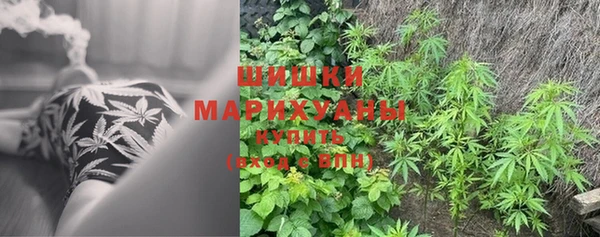 PSILOCYBIN Корсаков